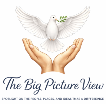 thebigpictureview.com